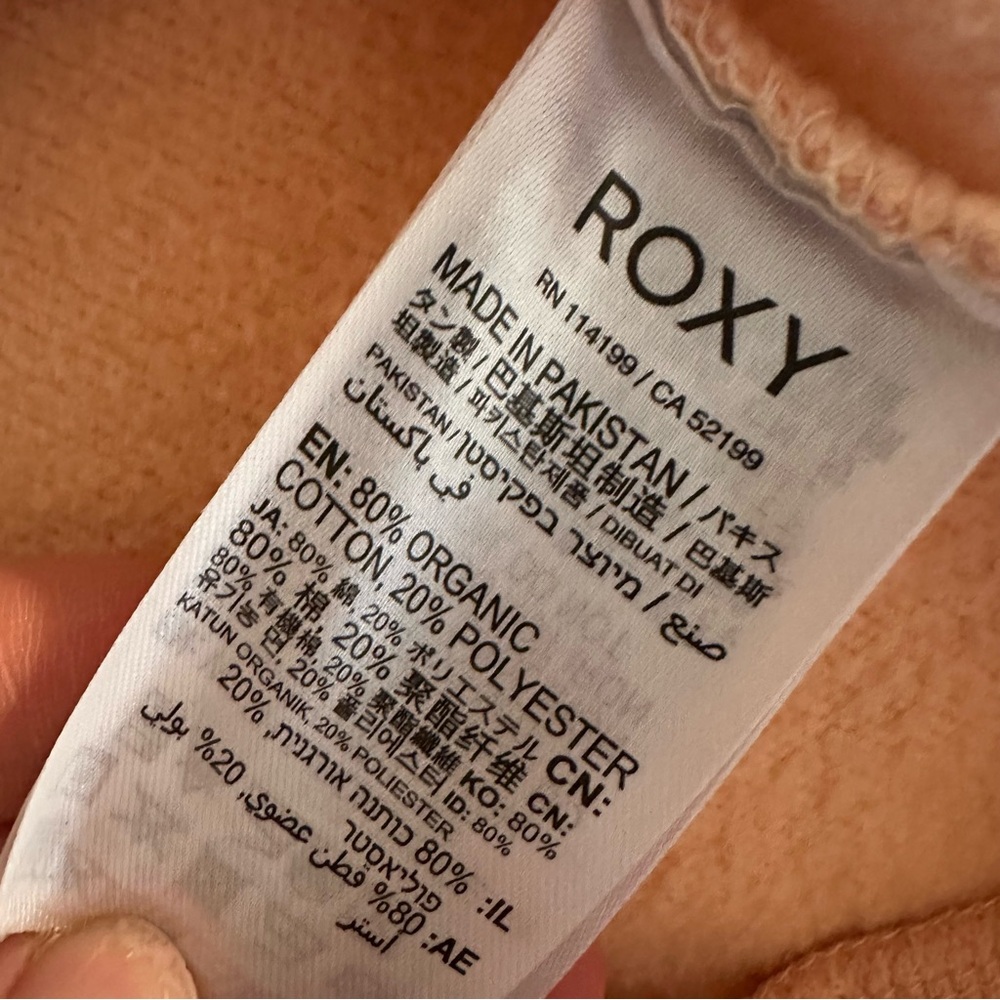 Roxy Tri-Tone Hoodie in Cream, Pink, and Green Colorblock - Picture 5 of 8